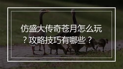 仿盛大传奇苍月怎么玩？攻略技巧有哪些？