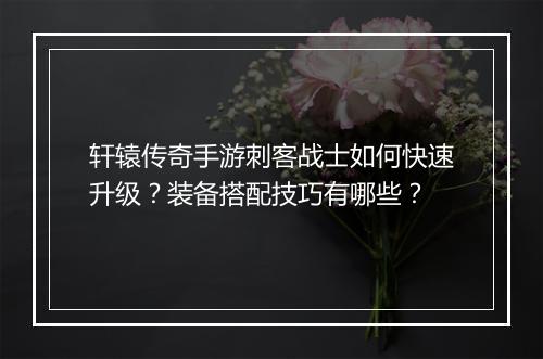 轩辕传奇手游刺客战士如何快速升级？装备搭配技巧有哪些？