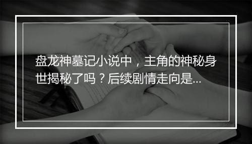 盘龙神墓记小说中，主角的神秘身世揭秘了吗？后续剧情走向是什么？