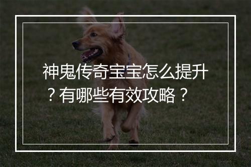 神鬼传奇宝宝怎么提升？有哪些有效攻略？