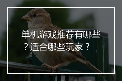 单机游戏推荐有哪些？适合哪些玩家？