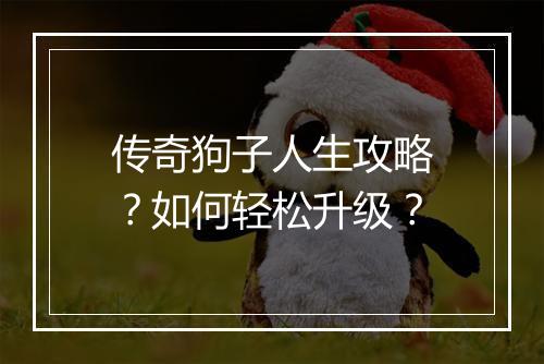 传奇狗子人生攻略？如何轻松升级？