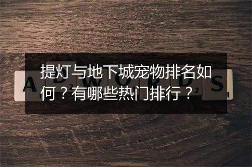 提灯与地下城宠物排名如何？有哪些热门排行？