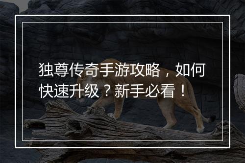 独尊传奇手游攻略，如何快速升级？新手必看！