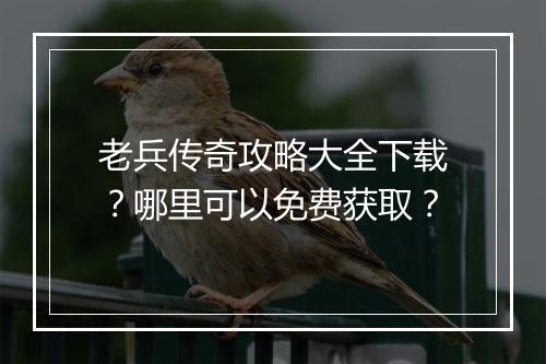 老兵传奇攻略大全下载？哪里可以免费获取？