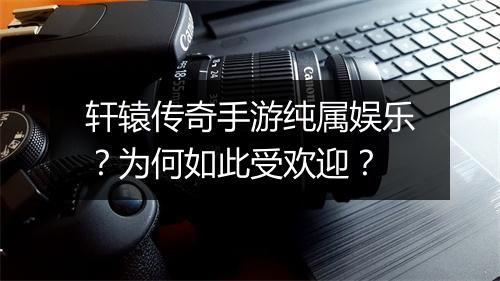 轩辕传奇手游纯属娱乐？为何如此受欢迎？