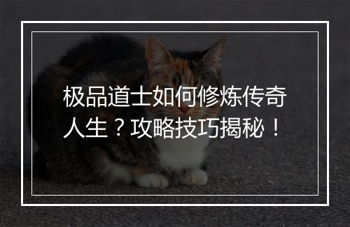 极品道士如何修炼传奇人生？攻略技巧揭秘！