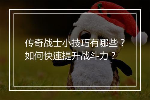 传奇战士小技巧有哪些？如何快速提升战斗力？