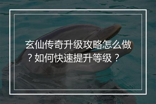 玄仙传奇升级攻略怎么做？如何快速提升等级？