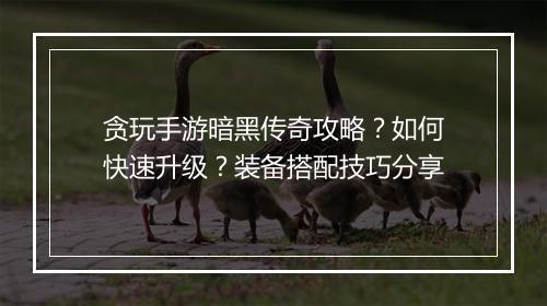 贪玩手游暗黑传奇攻略？如何快速升级？装备搭配技巧分享