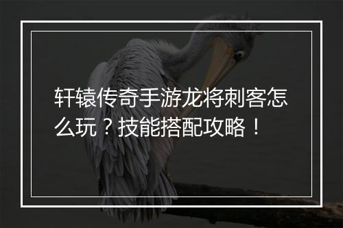 轩辕传奇手游龙将刺客怎么玩？技能搭配攻略！
