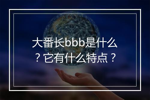 大番长bbb是什么？它有什么特点？
