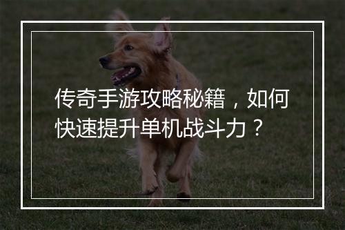 传奇手游攻略秘籍，如何快速提升单机战斗力？