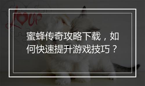 蜜蜂传奇攻略下载，如何快速提升游戏技巧？