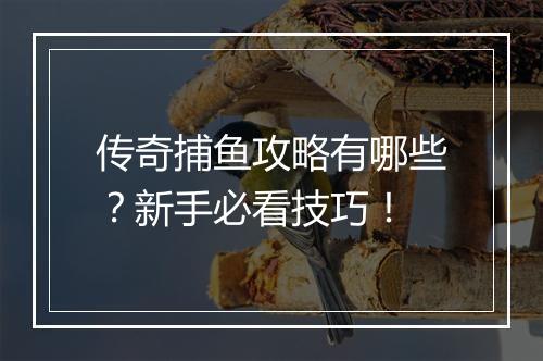 传奇捕鱼攻略有哪些？新手必看技巧！