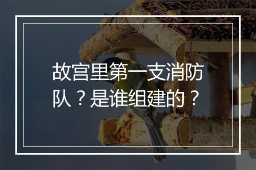 故宫里第一支消防队？是谁组建的？