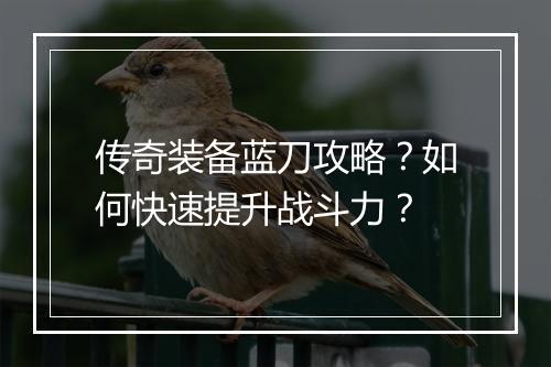 传奇装备蓝刀攻略？如何快速提升战斗力？