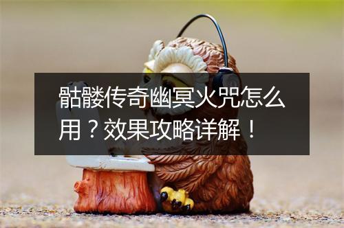 骷髅传奇幽冥火咒怎么用？效果攻略详解！