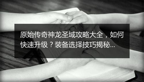 原始传奇神龙圣域攻略大全，如何快速升级？装备选择技巧揭秘！