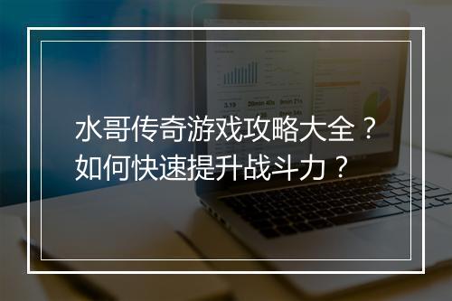 水哥传奇游戏攻略大全？如何快速提升战斗力？