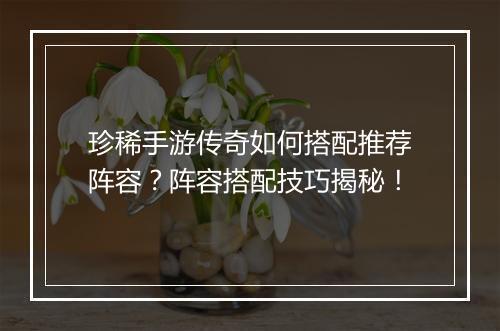 珍稀手游传奇如何搭配推荐阵容？阵容搭配技巧揭秘！