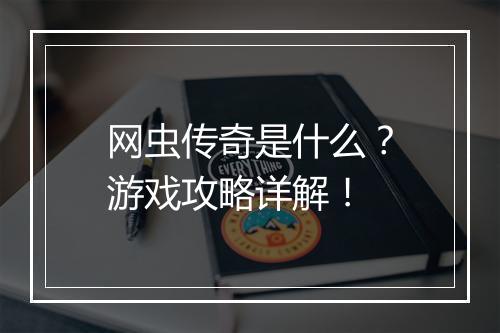 网虫传奇是什么？游戏攻略详解！