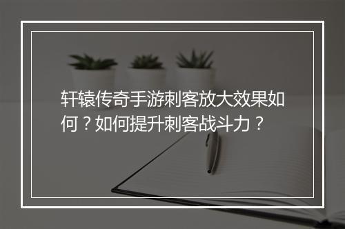 轩辕传奇手游刺客放大效果如何？如何提升刺客战斗力？