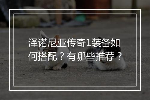 泽诺尼亚传奇1装备如何搭配？有哪些推荐？