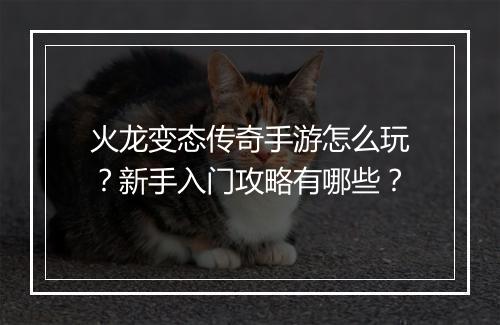火龙变态传奇手游怎么玩？新手入门攻略有哪些？