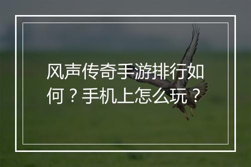 风声传奇手游排行如何？手机上怎么玩？