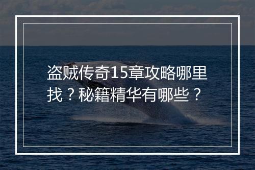 盗贼传奇15章攻略哪里找？秘籍精华有哪些？