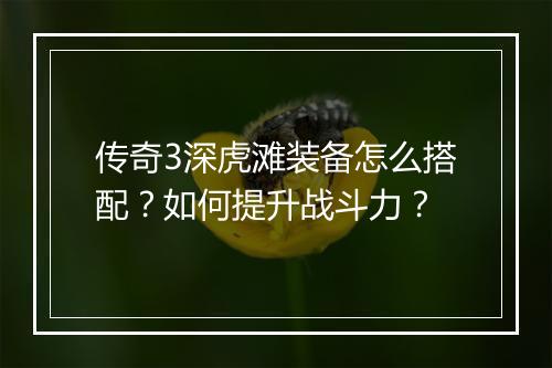 传奇3深虎滩装备怎么搭配？如何提升战斗力？