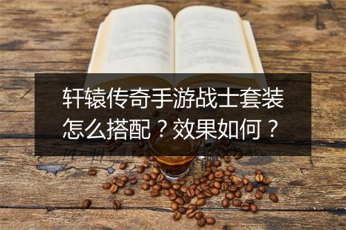 轩辕传奇手游战士套装怎么搭配？效果如何？