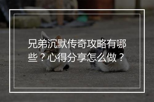 兄弟沉默传奇攻略有哪些？心得分享怎么做？