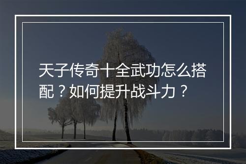 天子传奇十全武功怎么搭配？如何提升战斗力？