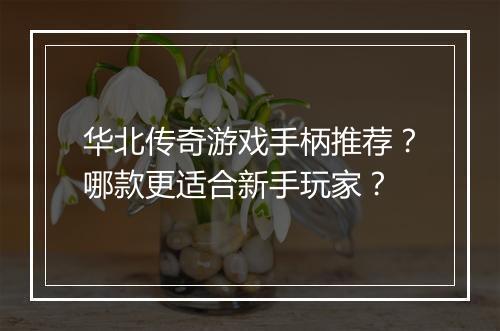 华北传奇游戏手柄推荐？哪款更适合新手玩家？