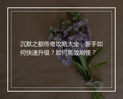 沉默之都传奇攻略大全，新手如何快速升级？如何高效刷怪？