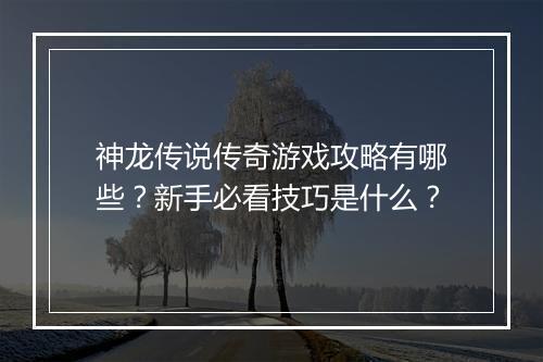神龙传说传奇游戏攻略有哪些？新手必看技巧是什么？