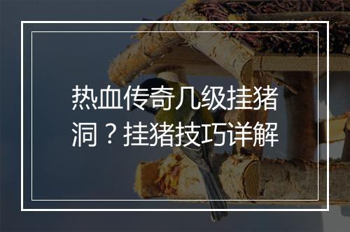 热血传奇几级挂猪洞？挂猪技巧详解