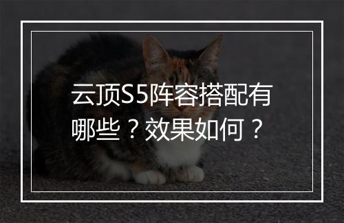 云顶S5阵容搭配有哪些？效果如何？