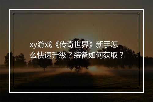 xy游戏《传奇世界》新手怎么快速升级？装备如何获取？
