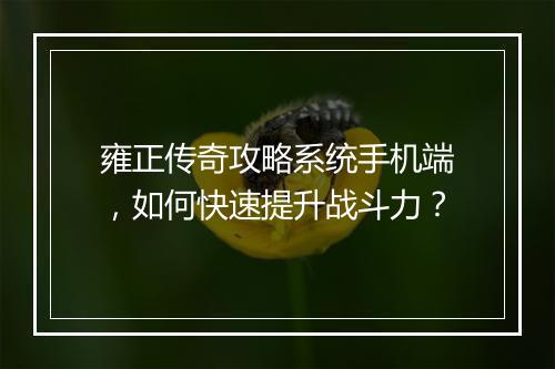 雍正传奇攻略系统手机端，如何快速提升战斗力？