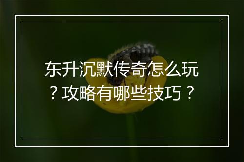 东升沉默传奇怎么玩？攻略有哪些技巧？