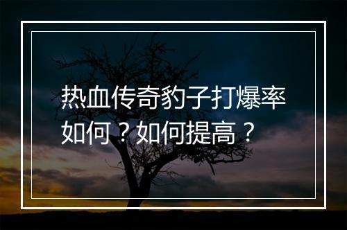 热血传奇豹子打爆率如何？如何提高？