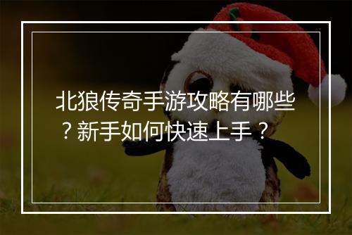 北狼传奇手游攻略有哪些？新手如何快速上手？
