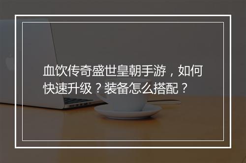 血饮传奇盛世皇朝手游，如何快速升级？装备怎么搭配？