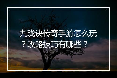 九珑诀传奇手游怎么玩?攻略技巧有哪些?
