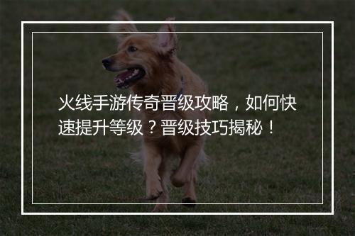 火线手游传奇晋级攻略，如何快速提升等级？晋级技巧揭秘！