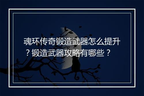 魂环传奇锻造武器怎么提升？锻造武器攻略有哪些？
