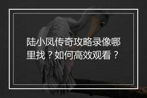 陆小凤传奇攻略录像哪里找？如何高效观看？